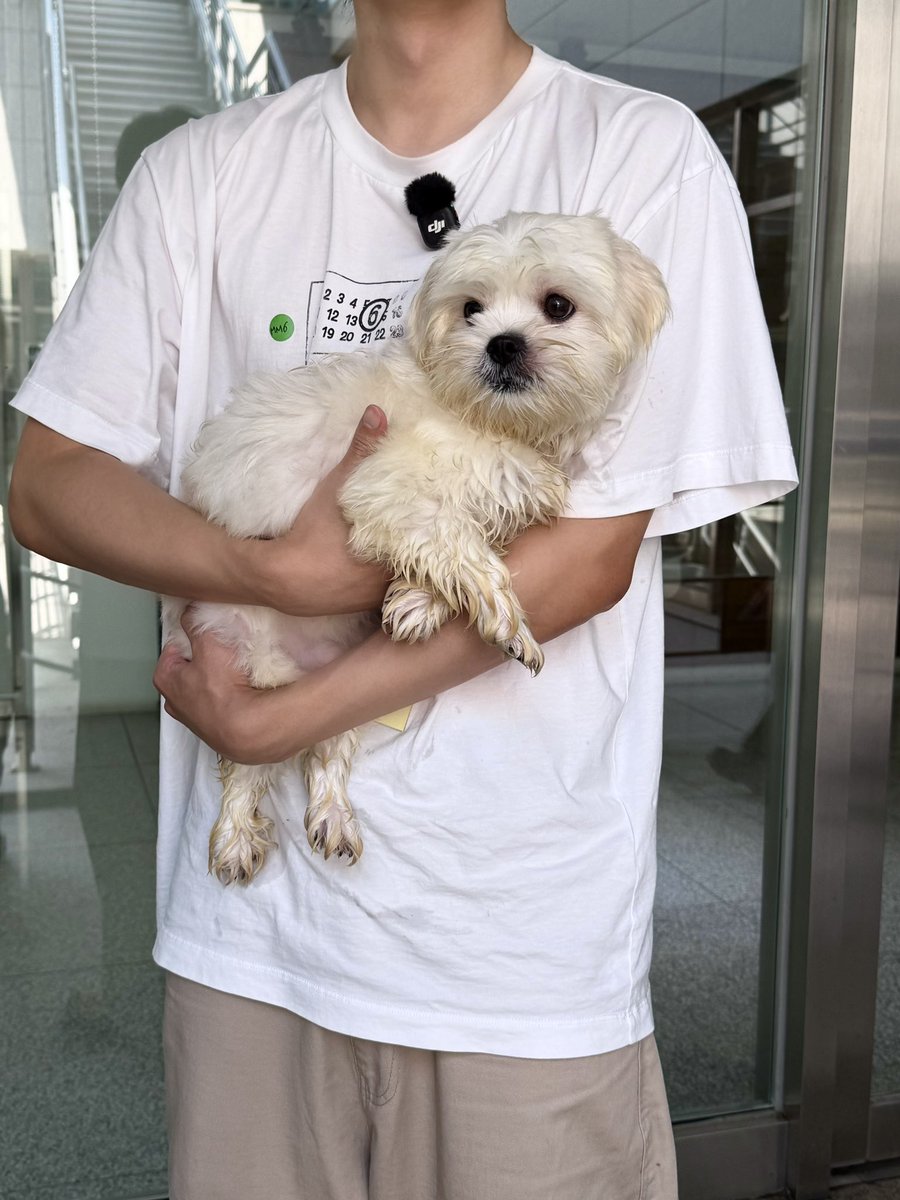 swlovezone's tweet photo. #sunwoo with puppies update from @/dangnyangzip 🥹

댕냥ZIP is an adoption promotion project that visits animal shelters and helps dogs &amp; cats find new families 💕💕

episodes will come every monday on their youtube channel and it seems like sunwoo will be featured 🥹 https://t.co/wuUjdPQJz5