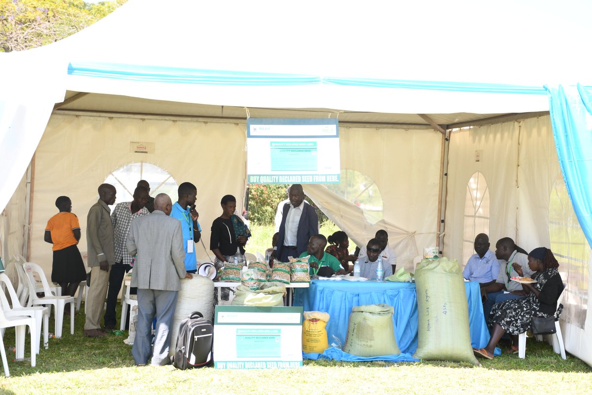 socadido's tweet photo. Today, @socadido staff under the @NOSP_UG Project, together with Local Seed Business Producers supported under @NOSP_UG, have joined farmers, researchers, agribusiness companies &amp; other stakeholders at the 2nd @Busitema1 &amp; East Africa Grain Council (EAGC) Agribusiness Trade Expo. https://t.co/NVGtdqBFJk