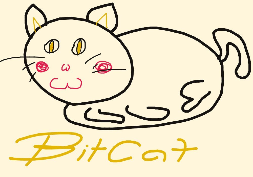 TheAltchemist_'s tweet photo. @blknoiz06 $BITCAT the next 100m runner

@Bitcatreal https://t.co/gKv3AYRPhx