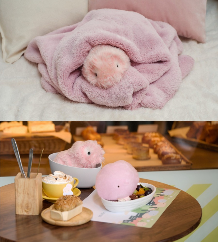 fashionpressnet's tweet photo. カシオ“感情が育つ”もふもふAIロボット「モフリン」に優しいさくら色

渋谷で「パンとエスプレッソとモフリンとまちあわせ」コラボカフェも - https://t.co/FO1t0U0DiN https://t.co/qdCDycb2UX
