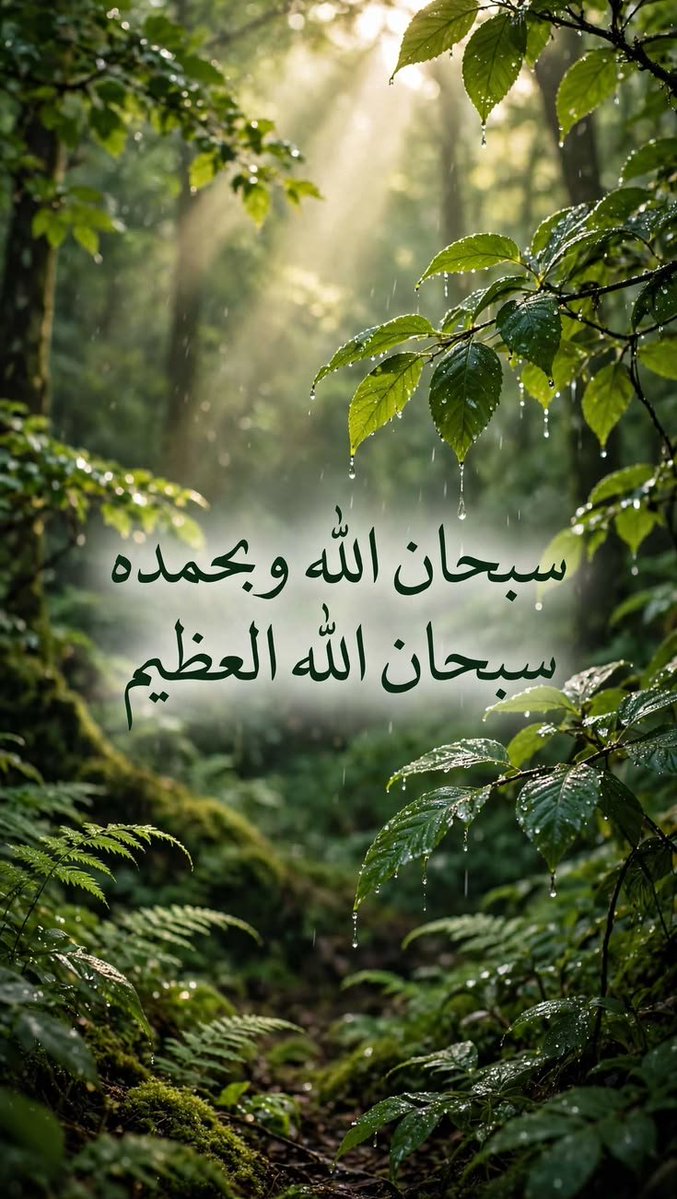 heba_tullah1111's tweet photo. https://t.co/niXPYYQoaV