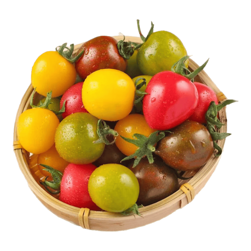 cherb115528's tweet photo. Just tried the new organic cherry tomatoes—burst with juicy sweetness, zero sour aftertaste, perfect for salads or snacking. A total win for fresh produce lovers!， https://t.co/xfDH94Wlls