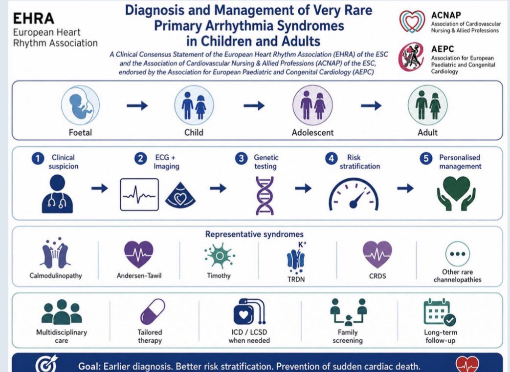 EuropaceEiC's tweet photo. New consensus in #Europace 📢

Diagnosis and Management of Very Rare Primary Arrhythmia Syndromes in Children and Adults 🧩💔
@JacobTfelt @amazzanti79 @arbelo_e @GiulioConteMD @BehrElijah @CrottiLia @J_Hendriks1 @ArthurWilde5 @MJAckermanMDPhD 

🔗https://t.co/FR9fKJRi5L https://t.co/EtlV05KpS1