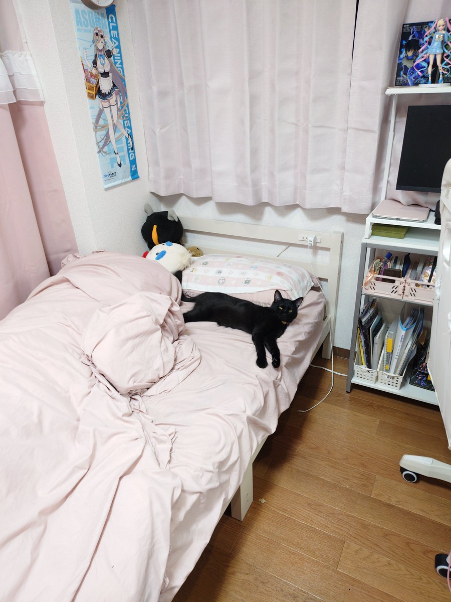 amngw01's tweet photo. 居る、それだけで良い。 https://t.co/UxVEyLXFPV