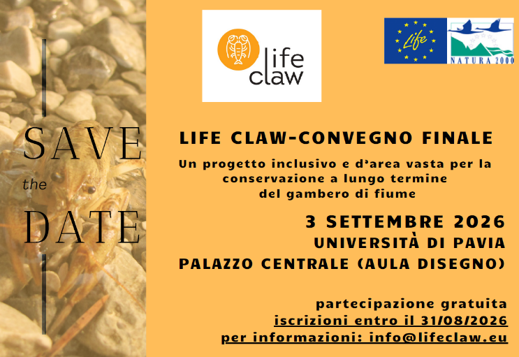 LIFEprogrammeIT's tweet photo. Convegno Finale @lifeclaw : un progetto inclusivo per la conservazione del gambero di fiume (Pavia, 3 settembre 2026)

Per saperne di più vai alla pagina del @MASE_IT  al seguente link https://t.co/5mtlL5LPlY.
@LIFEProgramme  #LIFEprogramme #LIFEproject https://t.co/9ft3sbmCVK