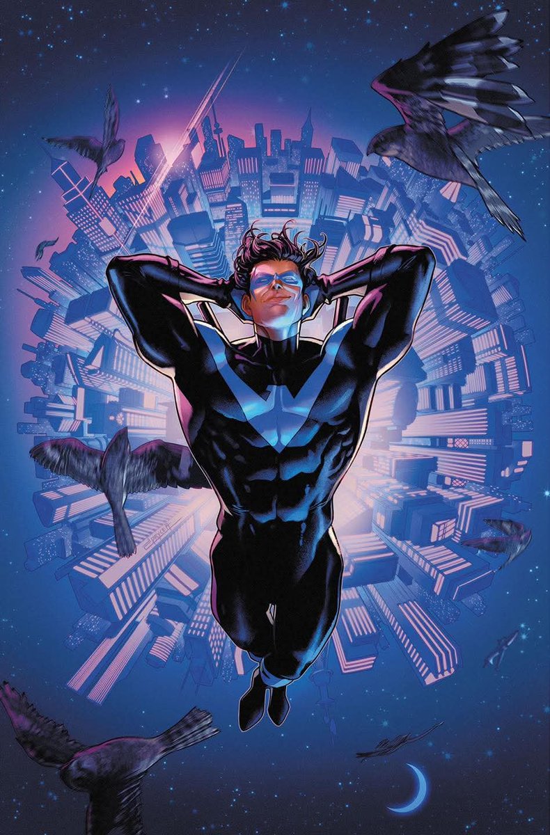 nightwingriah's tweet photo. Nightwing ft birds covers https://t.co/1VQ9F5Xe7T