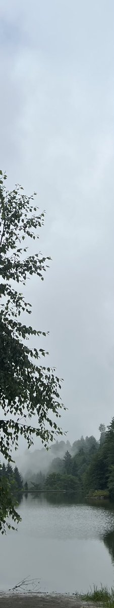 ronail_'s tweet photo. @loveasong71 تصويري للضباب لو كان فاصل كتاب https://t.co/7zuRBIJWVJ