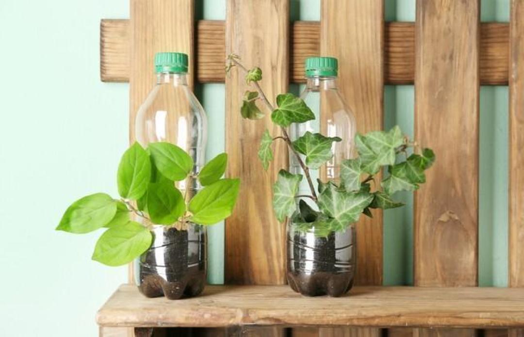 ambel024209's tweet photo. Got an old mason jar Turn it into a rustic herb planter with just some twine and potting soil—super easy weekend DIY that freshens up any windowsill!， https://t.co/8OwwYv53Ti