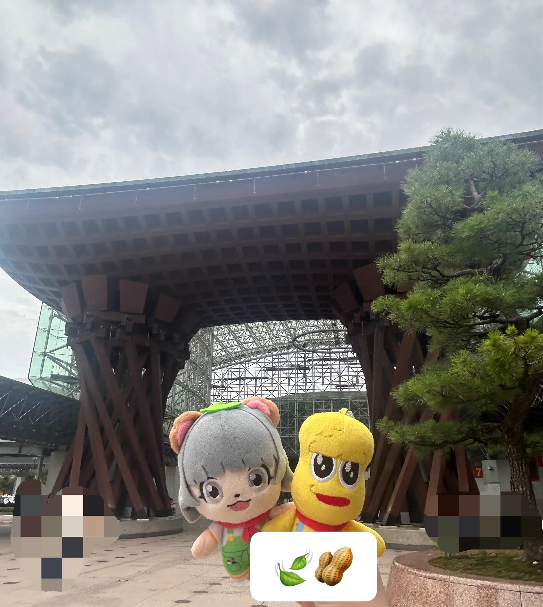 甲賀流忍者ぽんぽこ🍃たぬき！ a X: 
