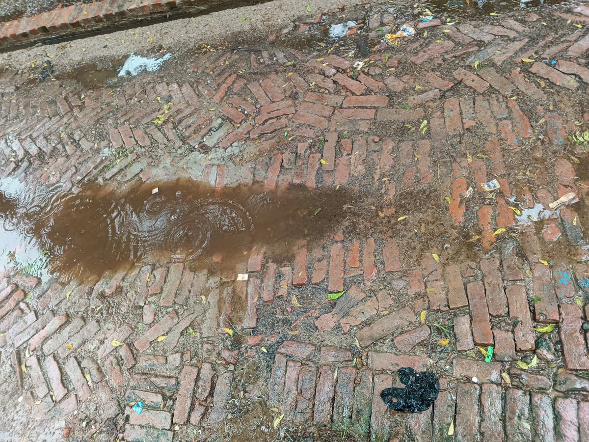 aneeshsingh896's tweet photo. डेरी फार्म की गंदगी से मोहल्ले वाले परेशान।

शिकायत करने के बाद भी हरदोई प्रशासन नहीं ले रहा सुध।

हरदोई के खदरा रेलवे क्रासिंग के निकट मोहल्ला रज्जुपुरवा में चल रही डेरी।

फार्म से गंदगी फैलने के कारण बीमारियों का आये दिन प्रकोप बढ़ रहा है। @dmhardoi @CdoHardoi @PMOIndia https://t.co/zW8StbfCNS