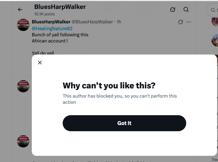 HealingNature02's tweet photo. And there I got my first block on this account. Why? Because I'm from "Africa" - I'm from South Africa. I was looking forward to your posts @BluesHarpWalker All the best and have a wonderful weekend. x https://t.co/KqQRv1xKy0