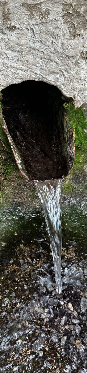 Glshng's tweet photo. “Ende erikten topla, bayemden kır götürsün dolabına atsın,  nohut gopar gel kıza,…”

Dönüş vakti köy dump… https://t.co/p8OZUvZXRz