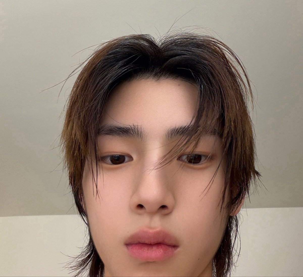 qezzro's tweet photo. 이런 반려동물샷은 왜 자꾸 주는거야 존나 귀여움 씨🦶 https://t.co/SfdFOYjC8Y