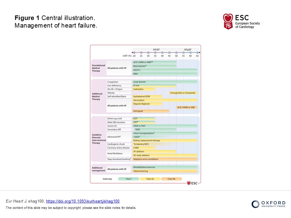 ehj_ed's tweet photo. The 2026 ESC Guidelines for the management of heart failure are now available: Developed by the task force for the management of heart failure of the European Society of Cardiology (ESC)
With the special contribution of the Heart Failure Association (HFA) of the ESC
Endorsed by the European Association for Cardio-Thoracic Surgery (EACTS)
https://t.co/2i6zSMT6Cs
 #ESC2026 #HeartFailureManagement #HeartFailure #CardiologyGuidelines @escardio @ESC_Journals