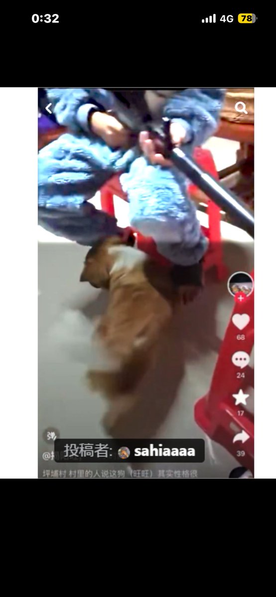 forthedogs___'s tweet photo. 中国はこのゴミカスの事件から、エアガン解禁したの？
法律なんのためにあるの？

#中国 #旺旺 #みーこ #小花
#广东省揭阳市揭东区新亨镇坪埔村
#鍾澤昊ジョンザーハオ鍾思鑫ジョンスーシン鍾鑫宇ジョンシンユー
#鍾宇轩ジョンユーシュエン
#鍾喜聲ジョンシーション
#鐘暁能ジョンシャオノン
#鍾梓烨ジョンズーイエ
#動物虐待ビジネス撲滅
#掲陽未成年者犬虐待事件
#JusticeForWangWang
#中国に動物虐待防止法の制定を求める