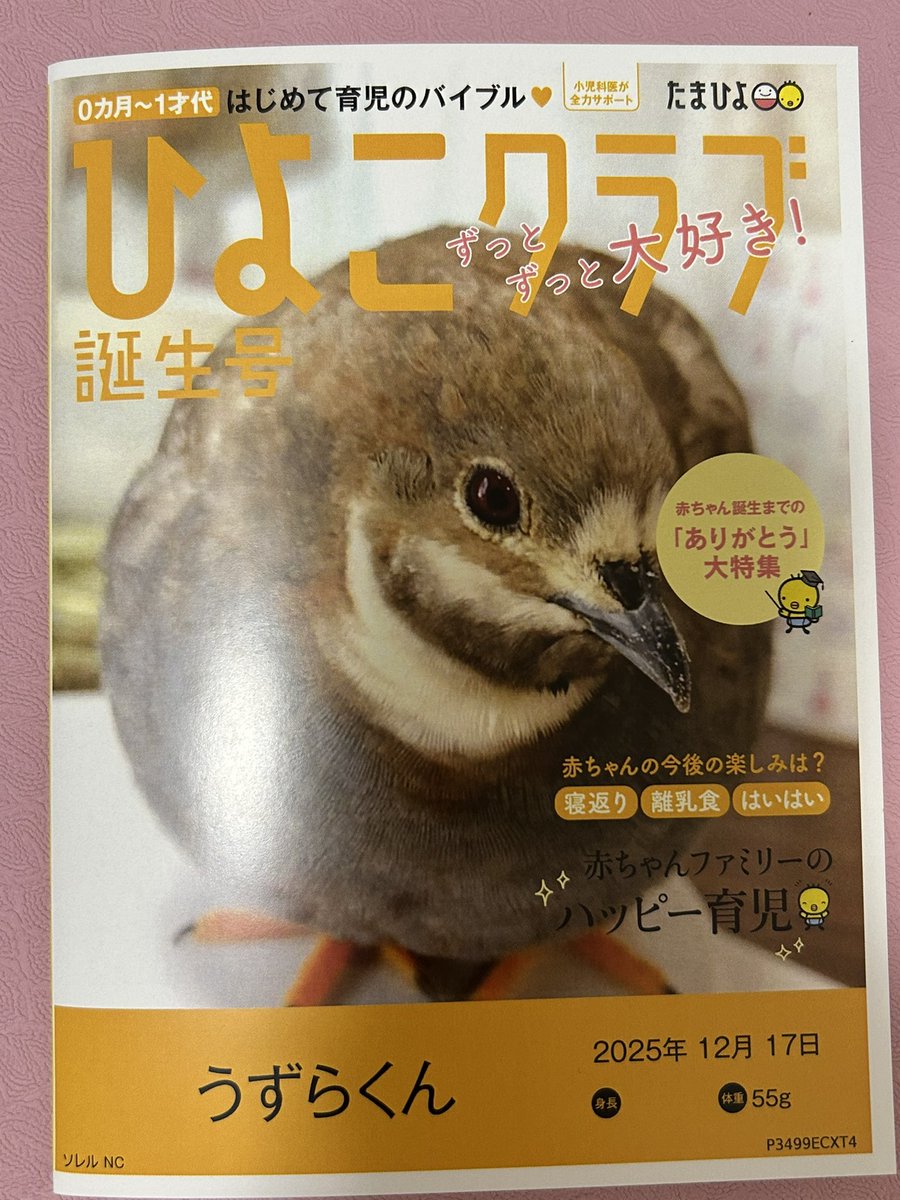 Uzura_chun1217's tweet photo. 友達が内祝いでこんなのをくれた！神！55グラムもうずらくんの全盛期の体重だーーーー！！！！！！ https://t.co/jcQnmSR7HC