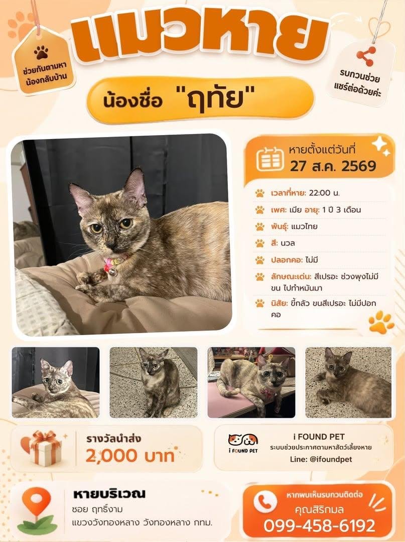 bussabalalala's tweet photo. Pls rt 🙏🏻🙏🏻

ใครเจอน้อง หรือคล้ายกันรบกวนช่วยติดต่อเจ้าของหน่อยนะคะ แม่มันใจจะขาดแล้ว ย่านสถานทูตลาวค่ะ

#แมวหาย #ห้วยขวาง #สุทธิสาร #สถานทูตลาว #ตามหาแมวหาย #แมวหลง #แมว #สีเปราะ #ifoundpet @js100radio #js100 https://t.co/IsIiUtLuj4