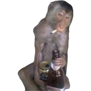 holachicoos's tweet photo. Les mecs sont tellement des putes. J’ai envie de fumer 1 paquet entier alors que je fume pas https://t.co/po2EktGvF7