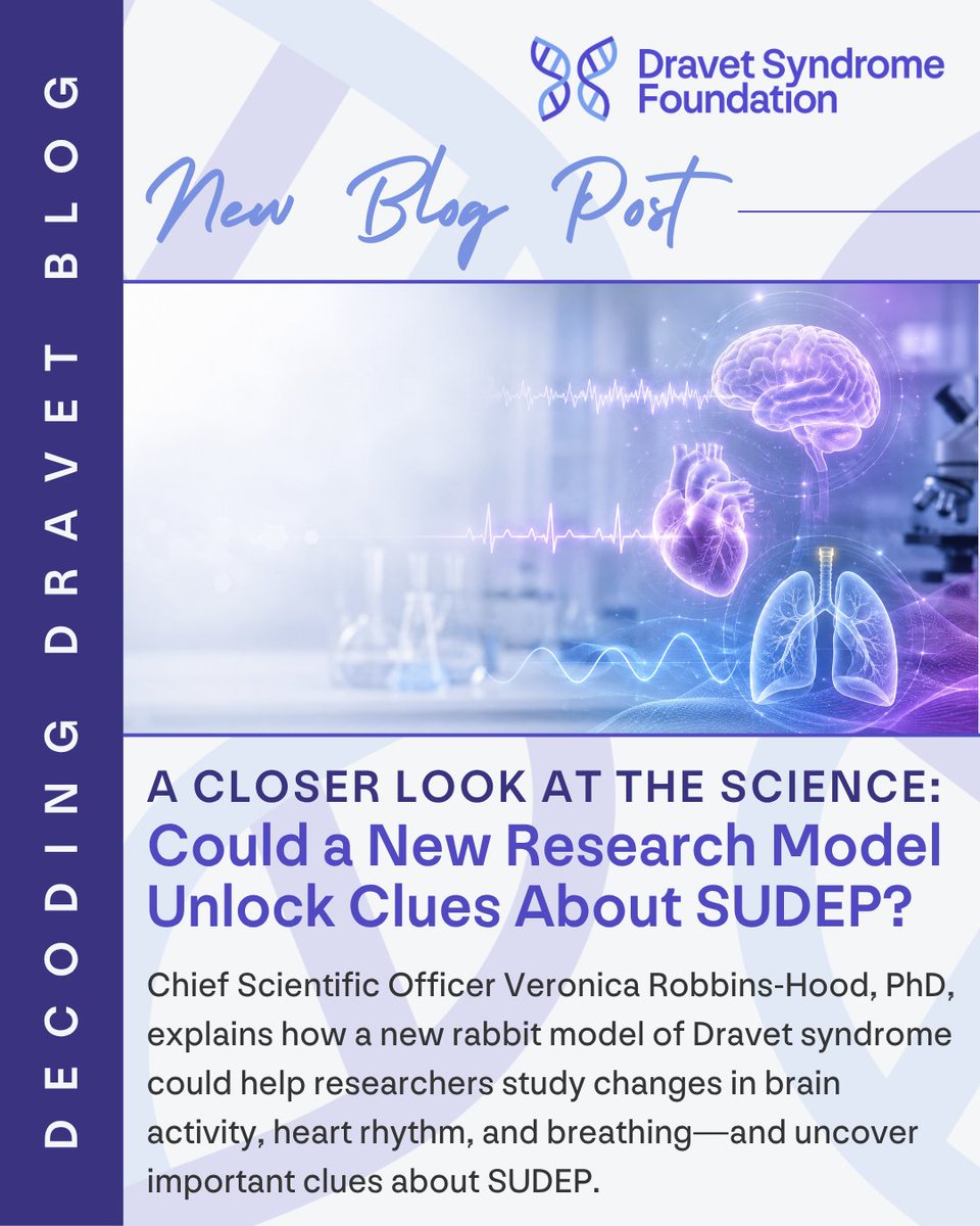 curedravet's tweet photo. Could a new rabbit model help uncover clues about #SUDEP in Dravet syndrome? DSF Chief Scientific Officer Veronica Robbins-Hood, PhD, explains what researchers are learning.

🔬 Explore what this model could reveal ➞ https://t.co/K2dZHKDHRB

#DravetSyndrome https://t.co/SjNnun07Oe
