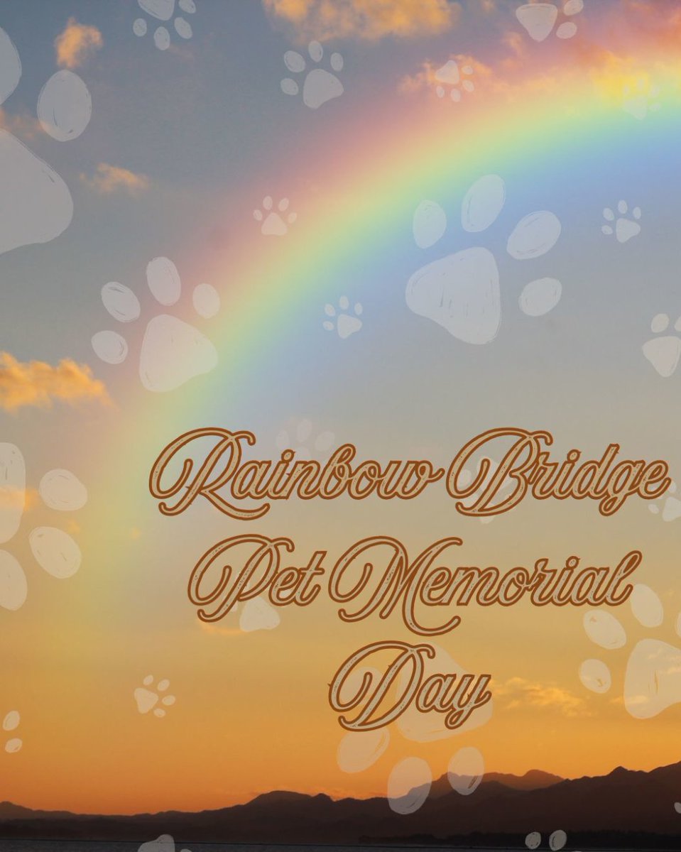AnimalBehaviorC's tweet photo. 🌈🐾 Today, on Rainbow Bridge Pet Memorial Day, we remember the pets who left paw prints on our hearts. 💕

Today, we cherish the love they gave us. ❤️ Share your memories in the comments or tag us in your posts!

#RainbowBridgePetMemorialDay #animalbehaviorcollege https://t.co/ixhlFDaCqa