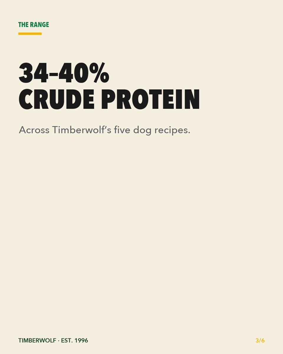 Timberwolfpet_'s tweet photo. Follow your instincts. Timberwolf’s five dog recipes deliver 34–40% crude protein. Est. 1996. Find a local independent retailer: https://t.co/NzgbvvnOTq

Ingredient visuals are not shown in formulation proportions. https://t.co/ZmdnzWUg4G