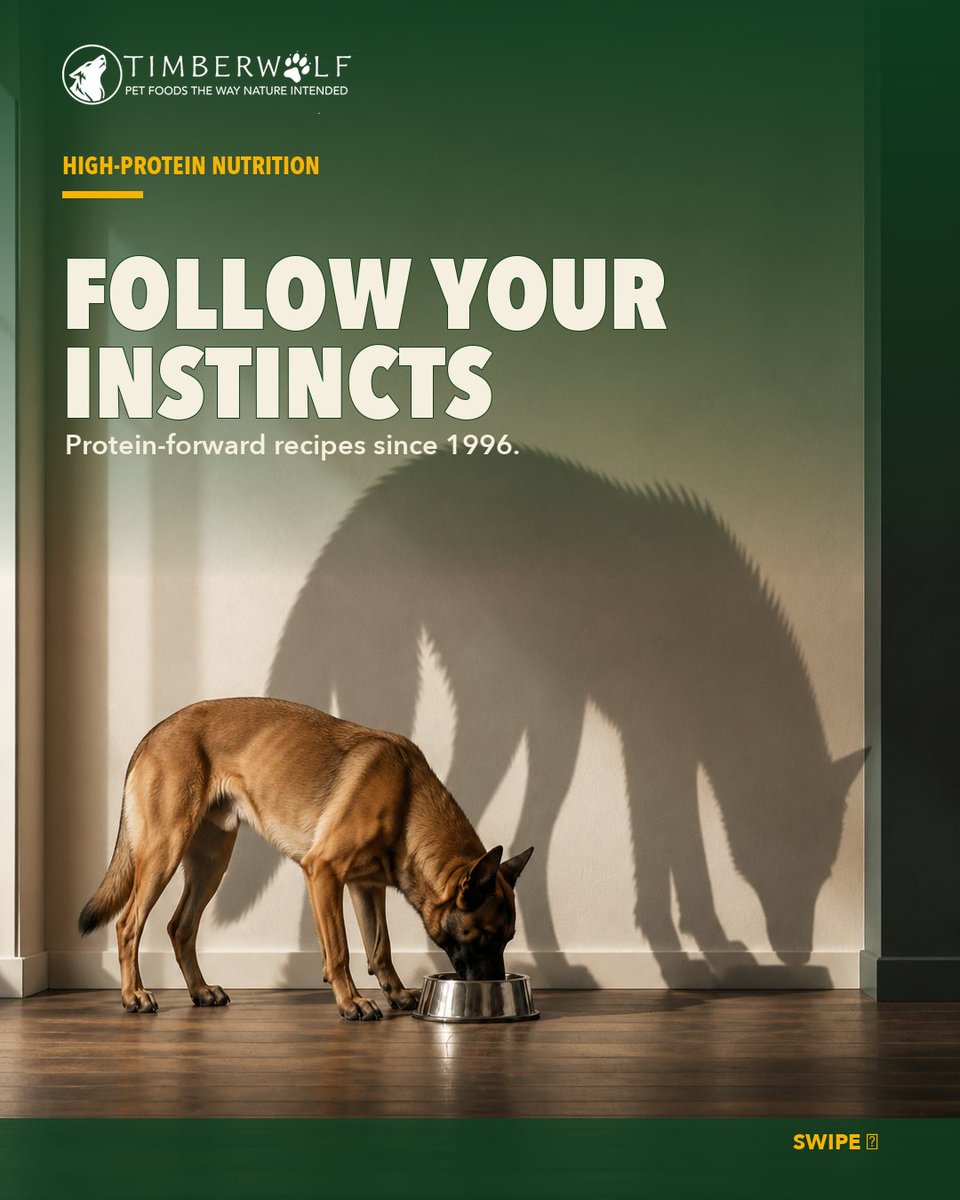 Timberwolfpet_'s tweet photo. Follow your instincts. Timberwolf’s five dog recipes deliver 34–40% crude protein. Est. 1996. Find a local independent retailer: https://t.co/NzgbvvnOTq

Ingredient visuals are not shown in formulation proportions. https://t.co/ZmdnzWUg4G