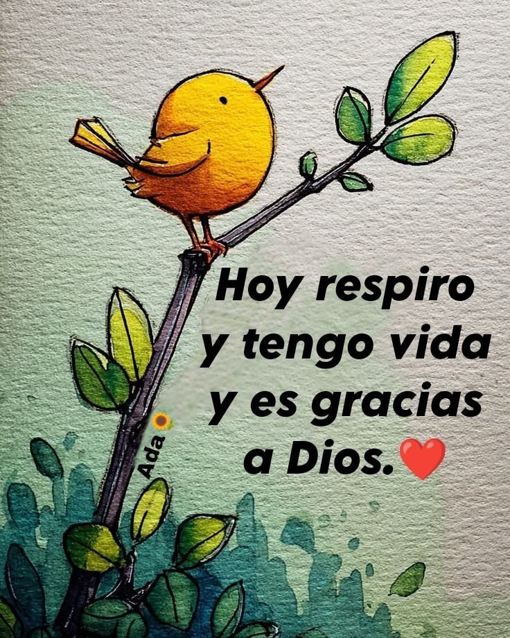 orfiliacar75405's tweet photo. @Gabo_2021 lindo dia https://t.co/NRqpVboIwp