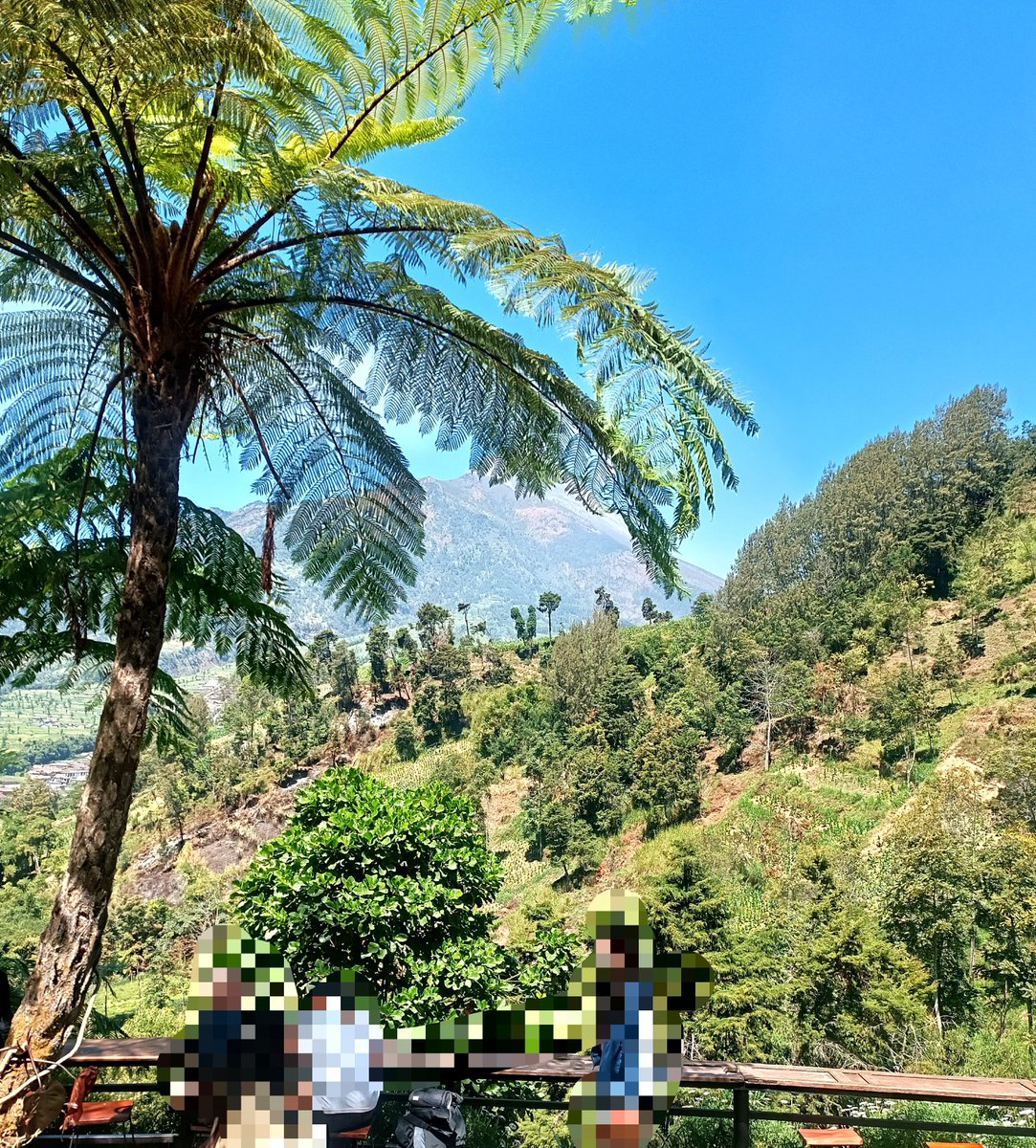 redrosesss__'s tweet photo. sekali-kali yee kan liat yg ijo-ijo 🍃🌿🍀🌱 

masih ada yg kurang, karena blm ke vit sea 🌊 rindu ketcehhhh 🫣 https://t.co/ROXCeGg4Jl