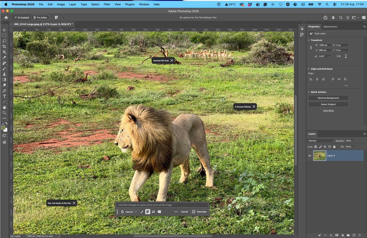 rufusd's tweet photo. “remove this tree”
“A lioness follows”
“lion cub looks at the lion”

That was the whole brief. Markup is in Photoshop.

More from @iamdeepa: https://t.co/cfayZrwjcg https://t.co/uxRL1V5XLd