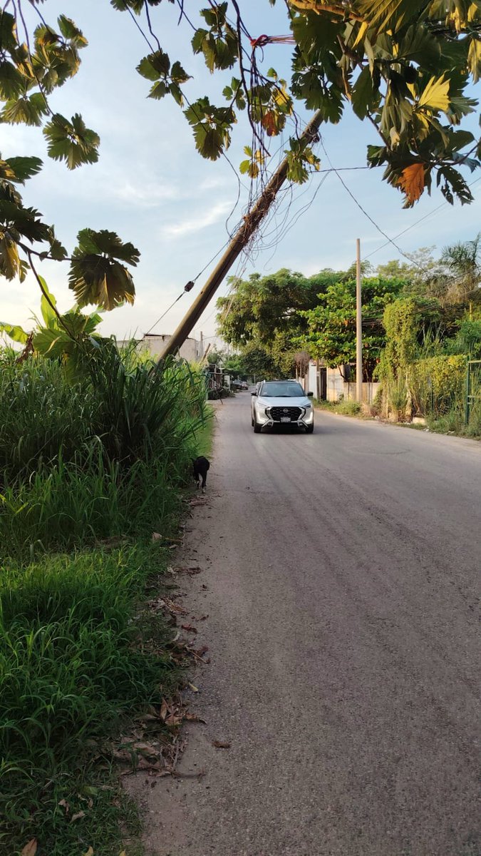 rociojimenez15's tweet photo. #Peligro #Poste ⚠️
@TELMEXSoluciona @Telmex
En Carretera Principal Curahueso frente a la planta del Cárcamo, pasando Super Sánchez. Se ha reportado infinidades de veces a Telmex a más de un año sin respuesta y se vuelve más peligroso por los últimos vientos. https://t.co/sE6kbLqiBl