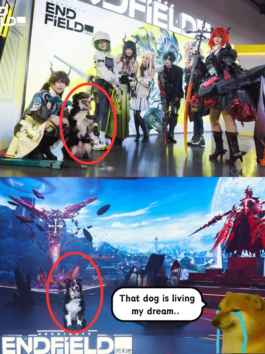 PlayedThemAll's tweet photo. OMG, WHO is this dog?! 😭It showed up at both AX 2026 AND Gamescom…
I wanna be this dog so bad.
#ArknightsEndfield #Endfield #gamescom #ax2026 https://t.co/uBsRQqgCPD