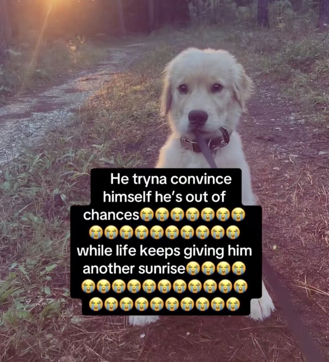 fuckyojan's tweet photo. https://t.co/4Li1mP6pac
