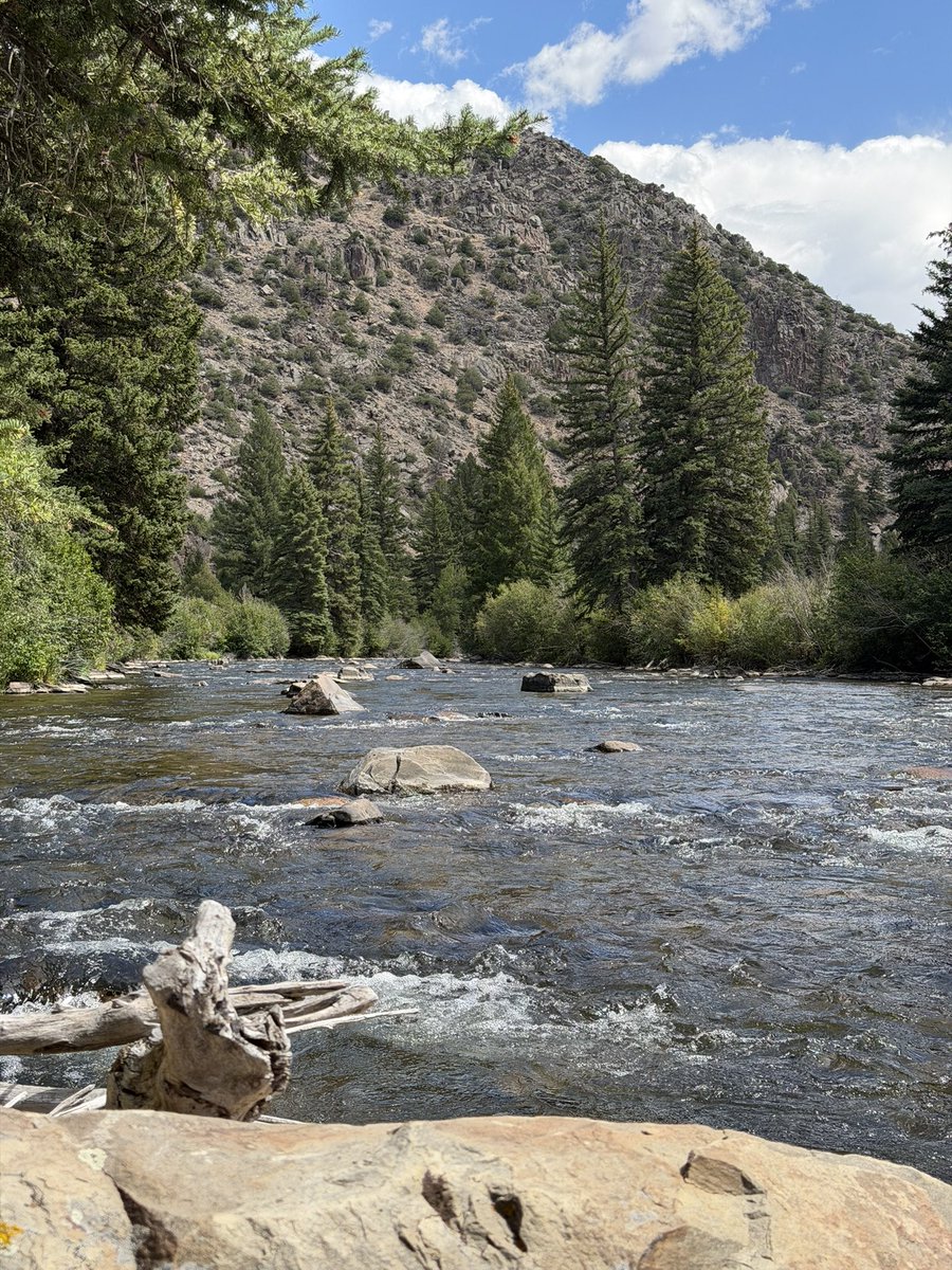 TheSmallMonk's tweet photo. Today’s picture theme is ‘River’
Fishing in Colorado Rivers https://t.co/qmdJDlNO3q