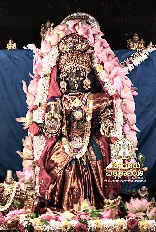 anilbhatortho's tweet photo. #UdupiKrishna today 🙏🏼 https://t.co/2Lp4ult7W3