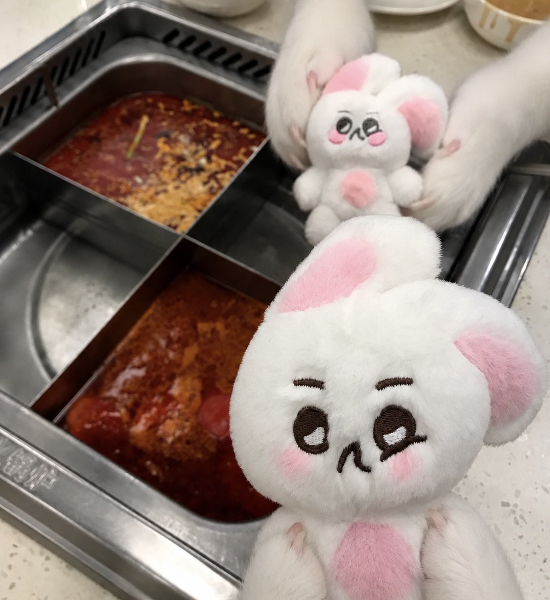 ahdeiu's tweet photo. 오늘하루가참멜라토닌먹고꾼꿈같네 https://t.co/rUGFjVPb3Y