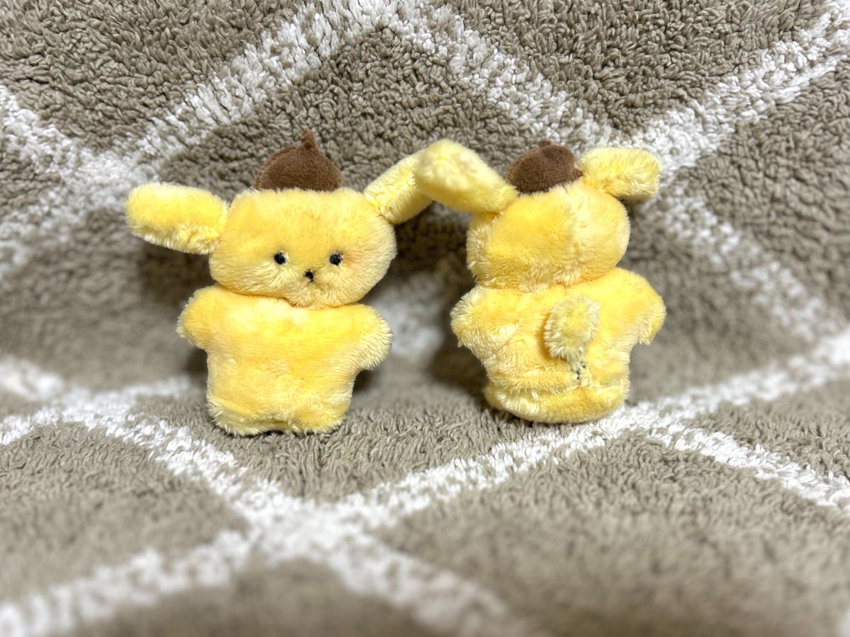 fuwanichan's tweet photo. https://t.co/7nRu8v67AD
受注嬉しいッ😭　どこ探しても目玉飛び出る金額💸で購入できず...自分で作ったポムポムプリンも9月に会えるの楽しみにしてる🍮 https://t.co/JEJUf2UxUb