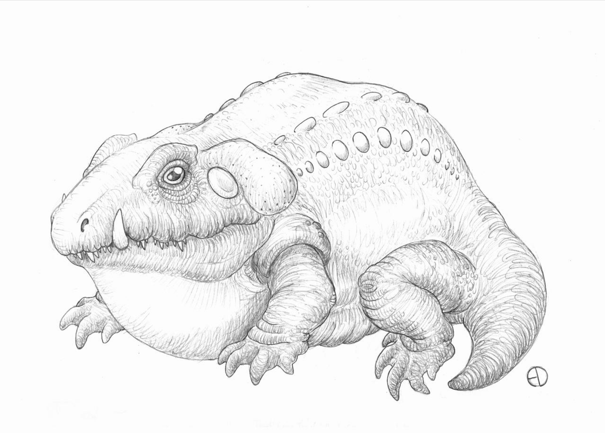 SaurArch's tweet photo. Nomen Dubium III.5.5.: Cotylosaurus
#scifiart #retro #lostworld #paleoart #paleozoic #amphibian #carboniferous #mastodonsaurus #toad https://t.co/KkMeN8qBXF