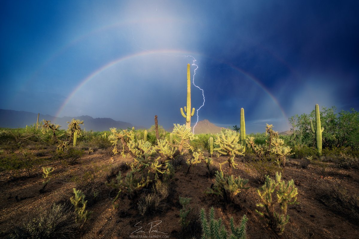 seanparkerphoto's tweet photo. Caught this double rainbow lightning strike out in Gates Pass west of #tucson #arizona last night! This storm was stunning!  #azwx #monsoon2026 https://t.co/rXGKG4qY2o