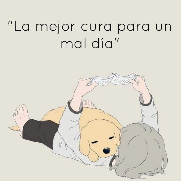 rey_latino33087's tweet photo. https://t.co/Rp4fUoM79E