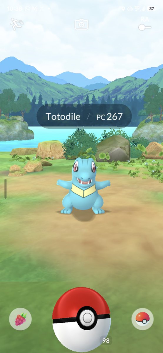 AcervoDragonite's tweet photo. Achei hoje e lembrei de ti @AcervoTotodile https://t.co/AKaV9Mfaqa
