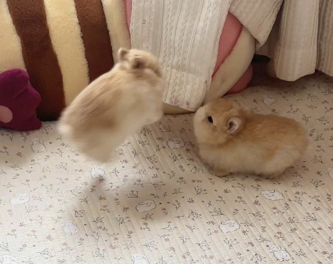 Bunnies's tweet photo. https://t.co/zU1XSxAtAY