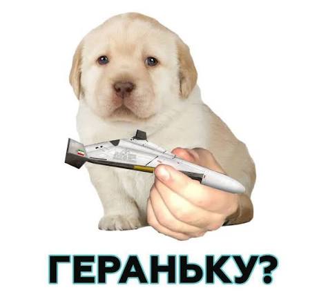 bear_logger tweet picture
