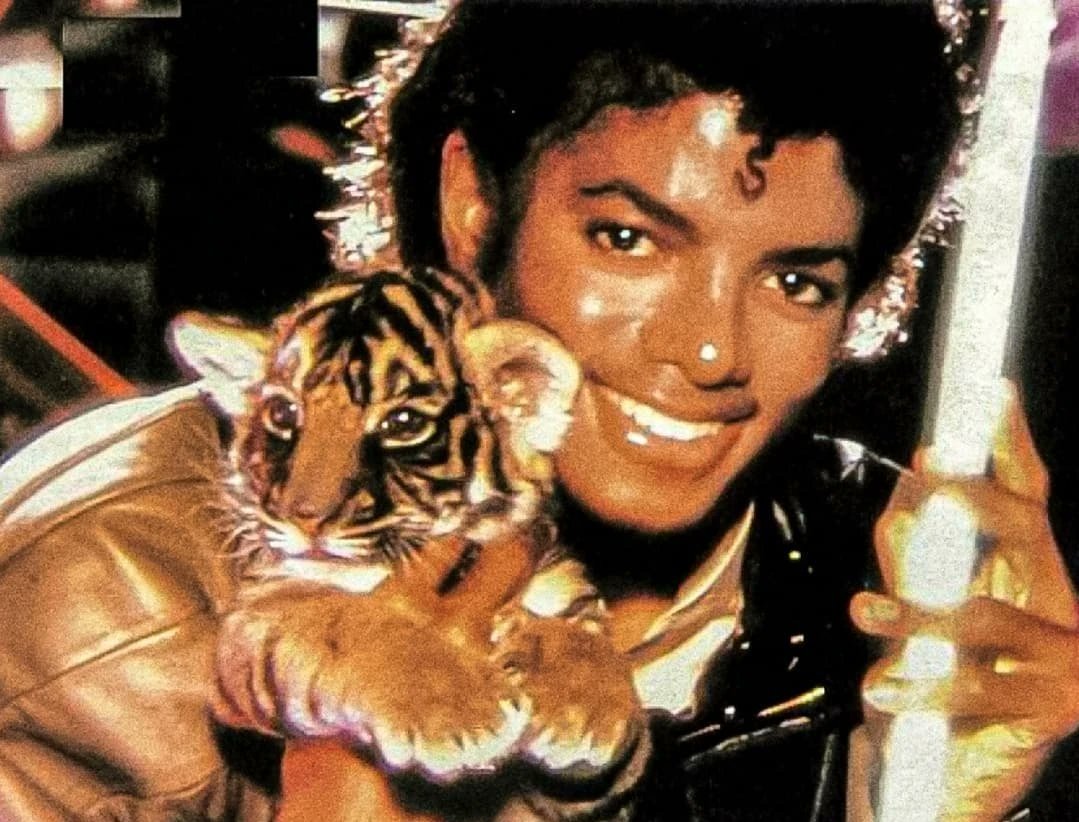 captaineomjjx's tweet photo. Michael Jackson, 1982 https://t.co/YfFsaI6abR