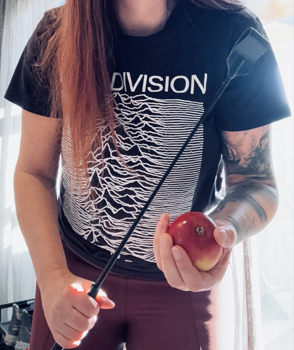 T4nuschk4's tweet photo. You got that wrong. The apple isn’t a treat-it’s a gag that gets stuffed into your mouth to silence you. #femdom #equestriankink #findom https://t.co/UsPkLTJL9R