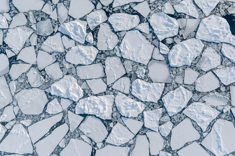 GaryM's tweet photo. A rapid series of low-pressure systems can create weather conditions that make it difficult for ice to recover, affecting Arctic coastlines & the global climate system. https://t.co/24P5S2oSkI #ClimateScience #environment #ecology #science #SciChat https://t.co/t2uPU7BArf