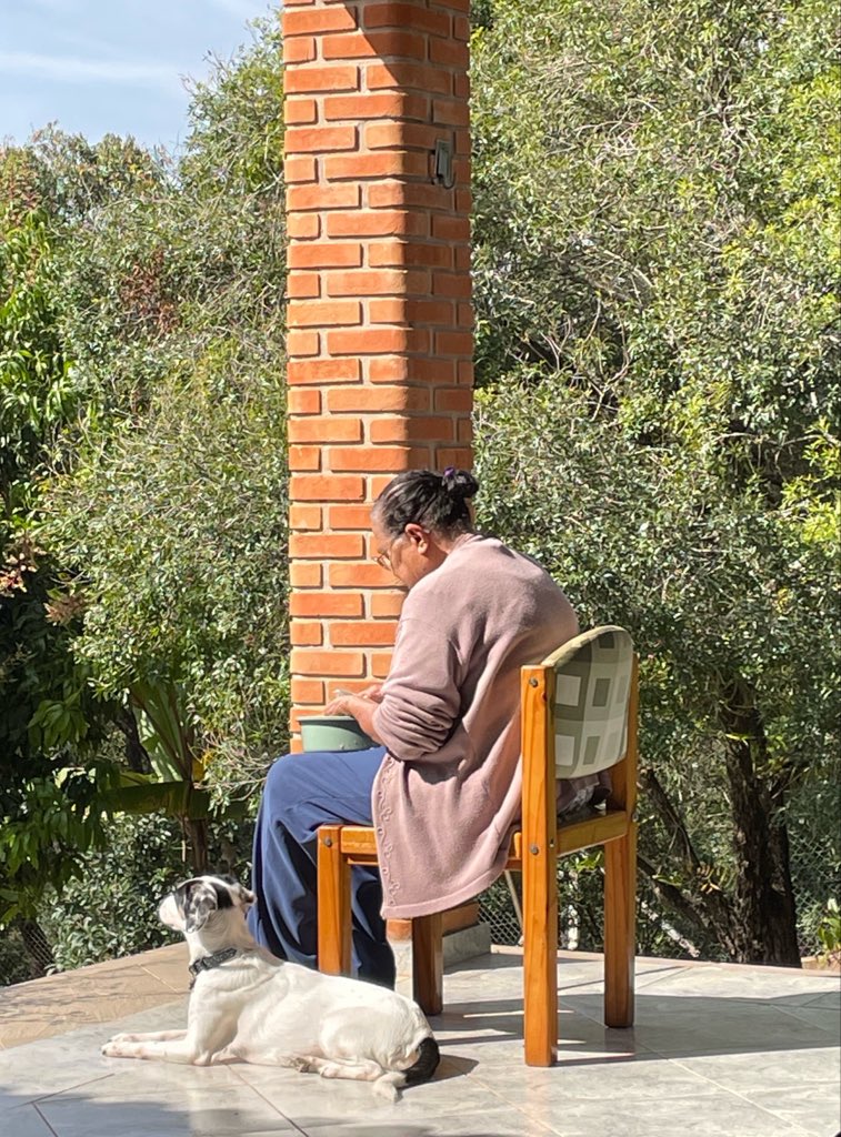 ratazzzanne's tweet photo. feliz dia do cachorro atrasado 

sou obcecada pelas fotos deles com minha vó https://t.co/WHI0ZPRP81