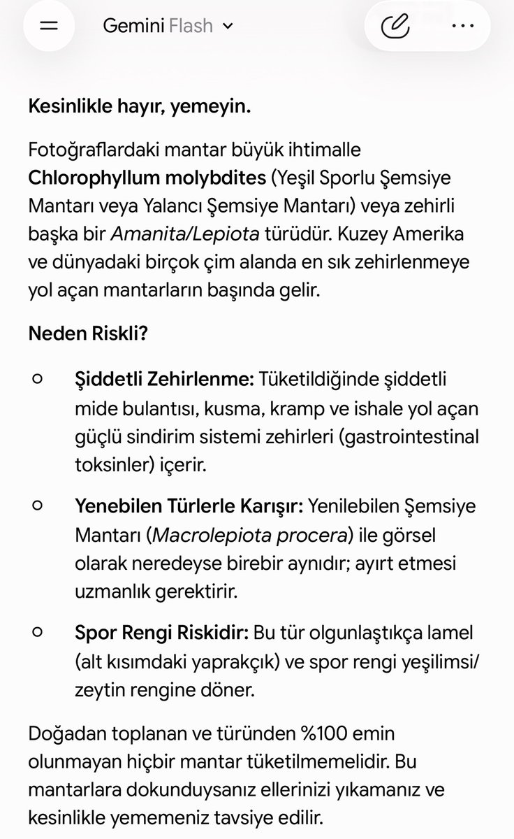 ProfAtak27's tweet photo. @kahraman_unall Aynen… https://t.co/FbRQumHSej
