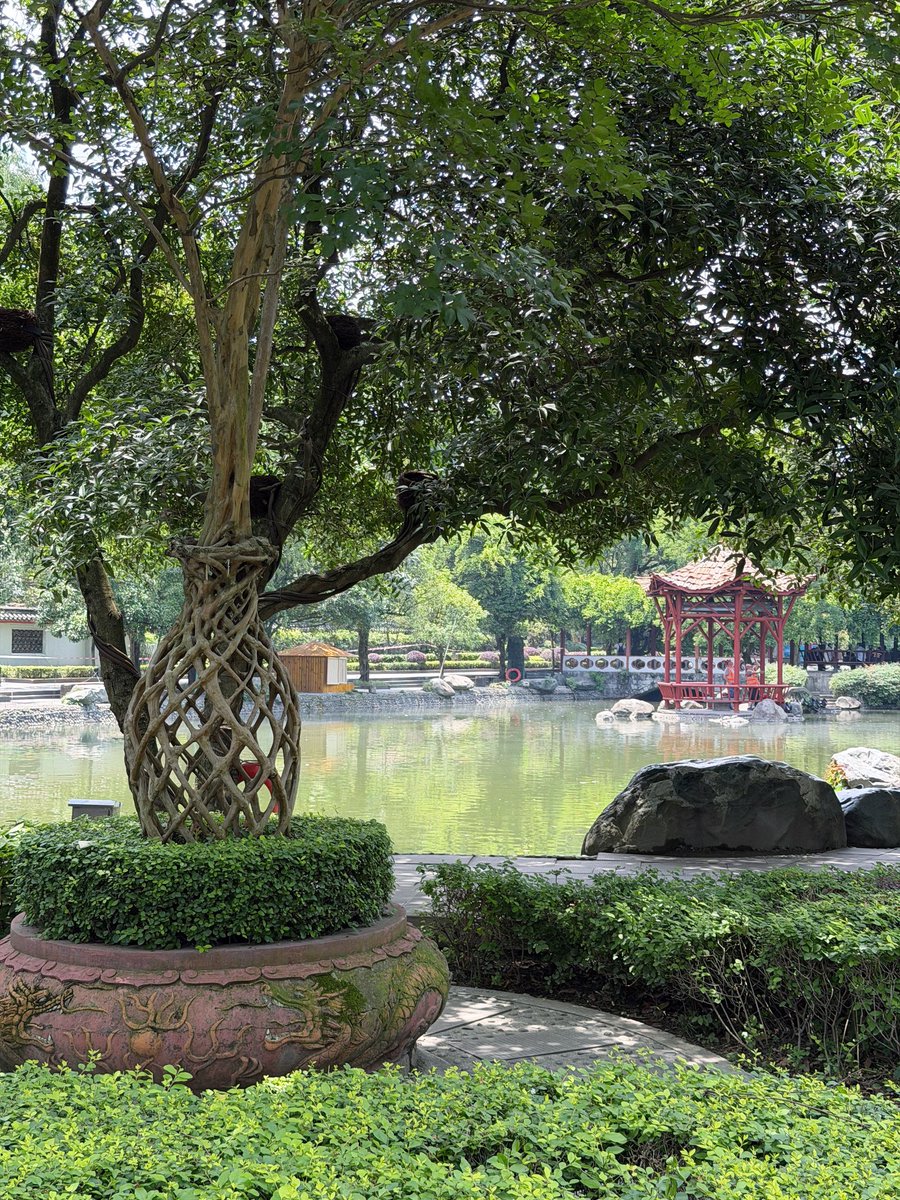 sasami_1031's tweet photo. 🇨🇳中国・都江堰
堰功道に沿って庭園も整備されており、よく手入れされていて素晴らしい景観でした🍃 https://t.co/JJYMgF9JH4