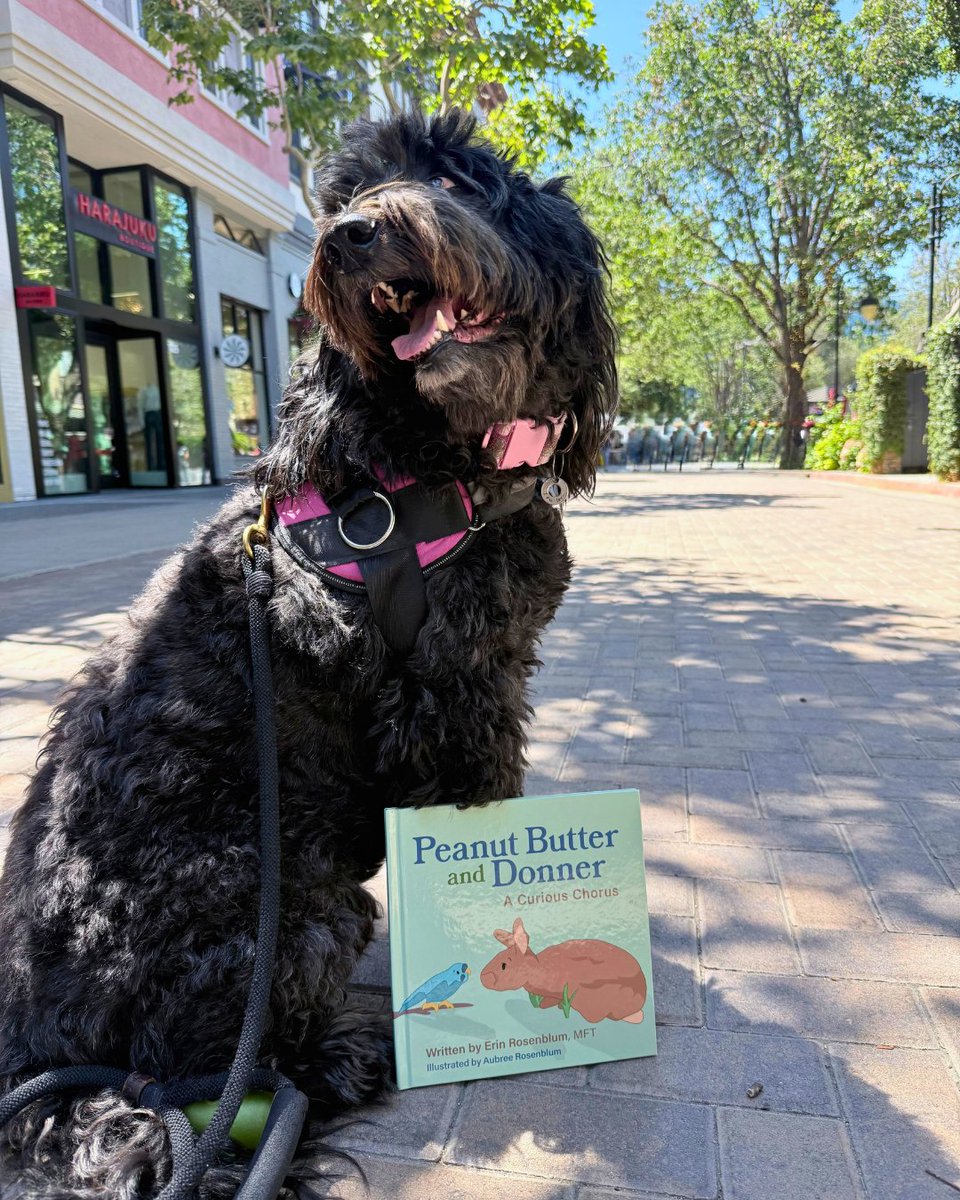 BookBaby's tweet photo. Who hasn't read a draft to their dog or asked their cat for help with writer's block? If your fur baby is your constant writing companion, show off your pets with your BookBaby book or writing setup by tagging @BookBaby in your post. 

#BookBabyAuthor #authorlife #writingprocess https://t.co/CHE2HswrNN