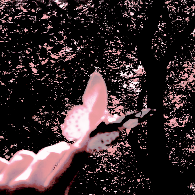 ofexpiscor tweet picture